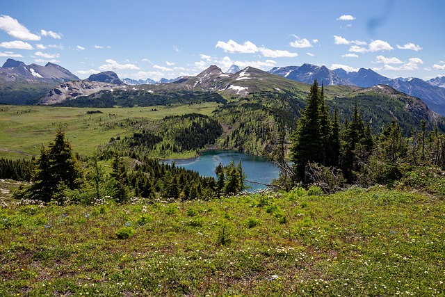 Free Sunshine Meadow Lake photo and picture
