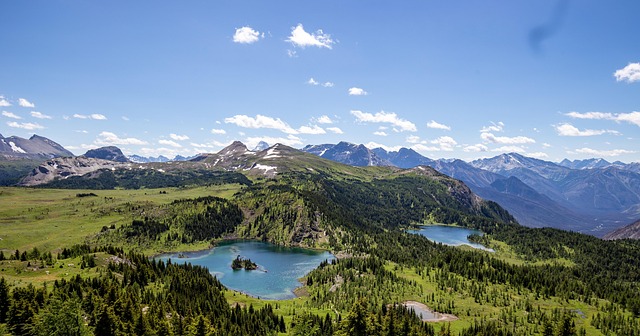Free Lake Sunshine Meadow photo and picture