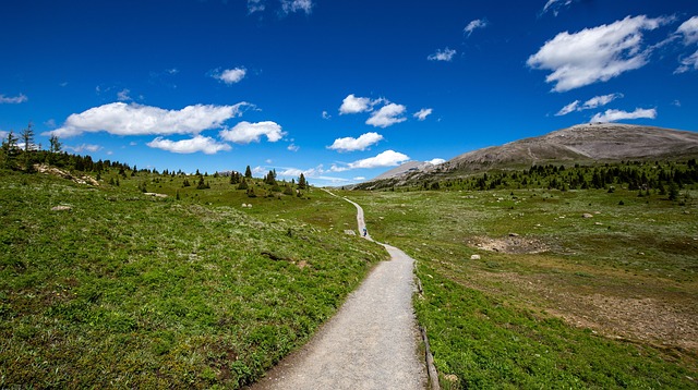 Free Pastures Fields photo and picture