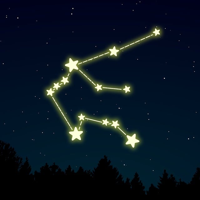 Free Aquarius Zodiac vector and picture