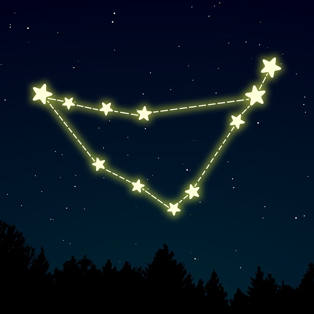 Free Capricorn Zodiac vector and picture