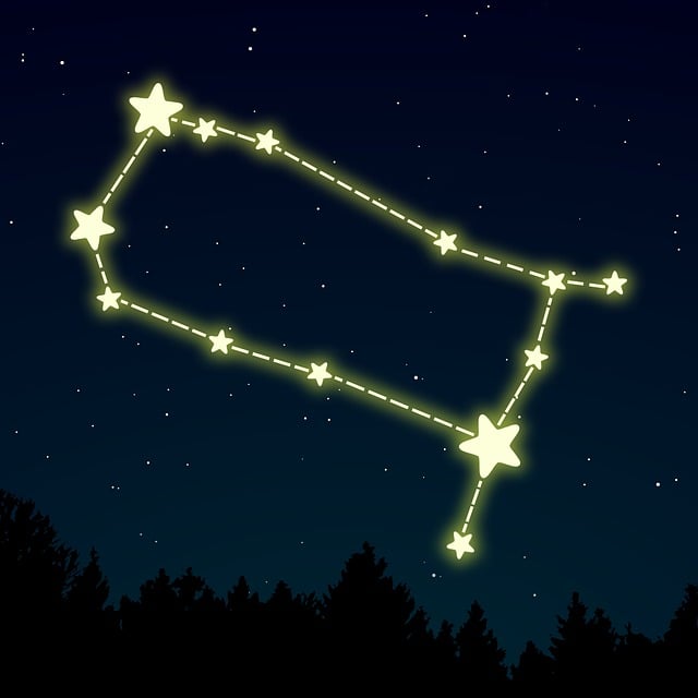 Free Gemini Zodiac vector and picture