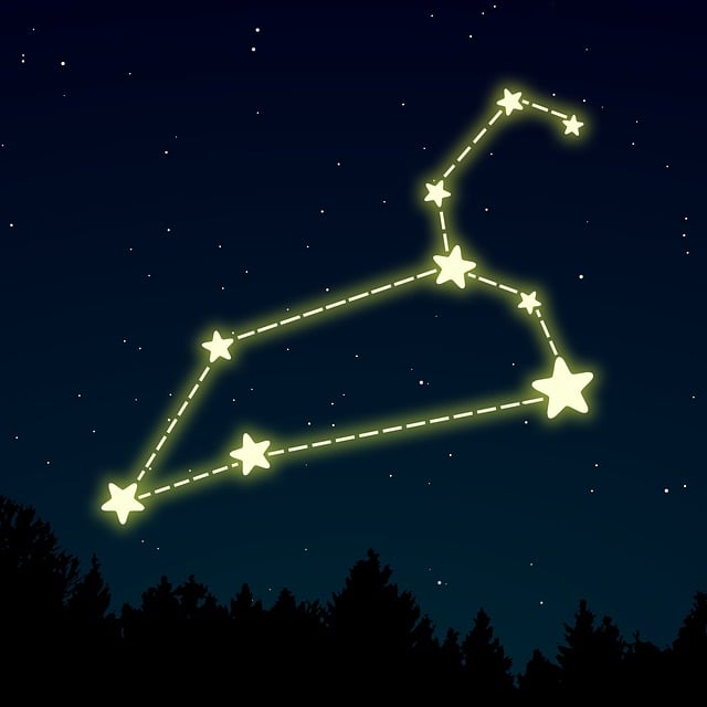 Free Leo Zodiac vector and picture