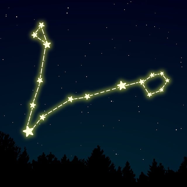 Free Pisces Zodiac vector and picture