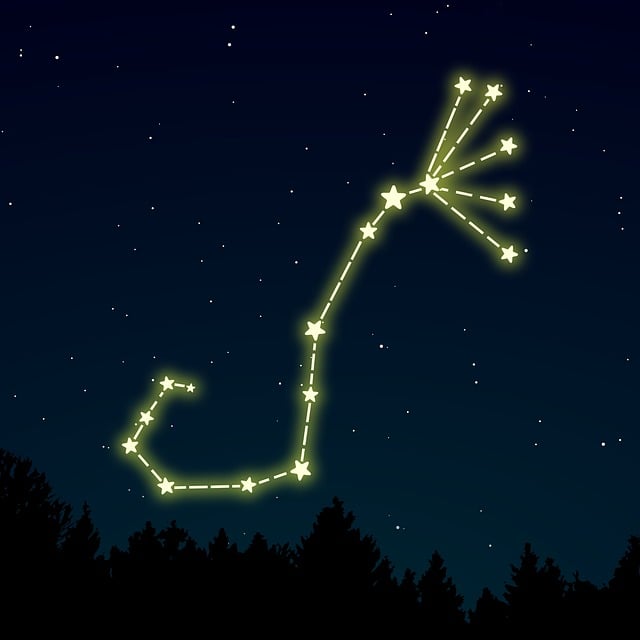 Free Scorpio Zodiac vector and picture