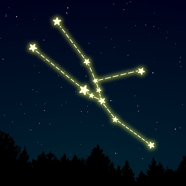 Free Taurus Zodiac vector and picture
