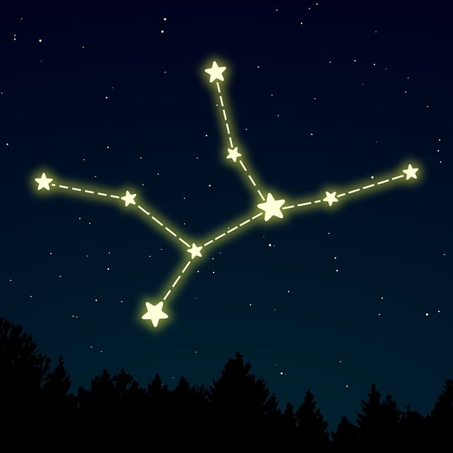 Free Virgo Zodiac vector and picture