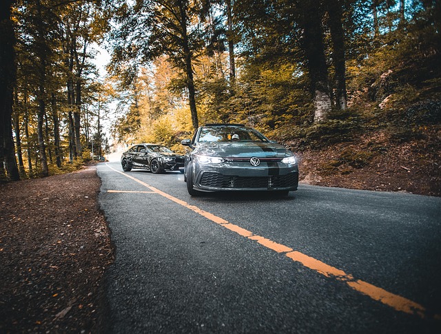 Free Volkswagen Car photo and picture