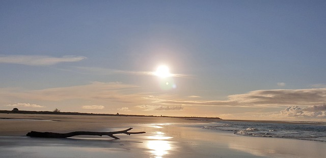 Free Beach Sea photo and picture