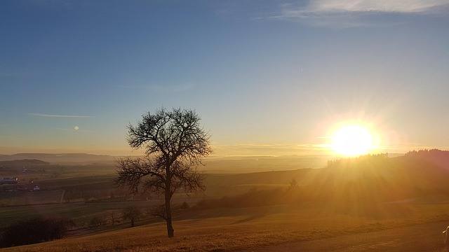 Free Field Sunrise photo and picture