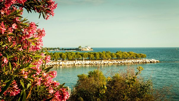 Free Sea Beach photo and picture