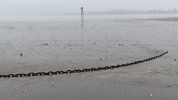Lænke, Strand, Tåge, Columbia Flod
