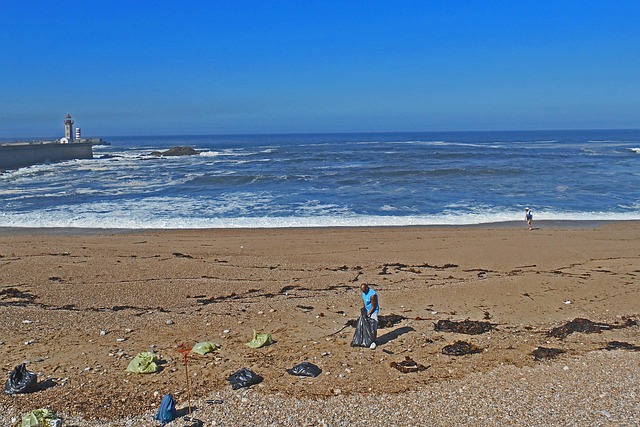 Free Beach Sea photo and picture