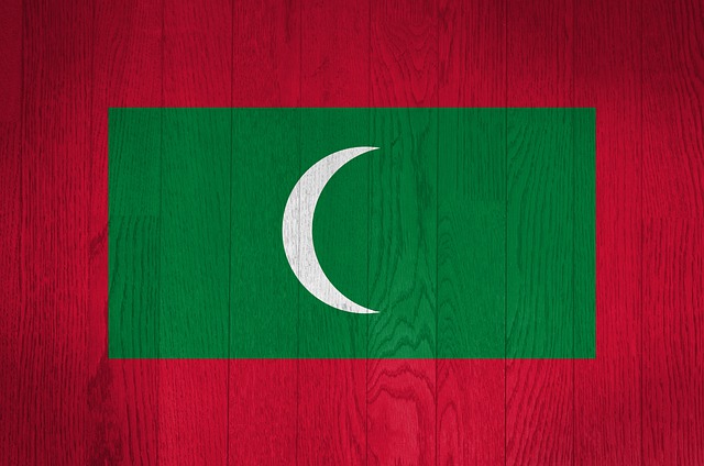 Free maldives flag country illustration