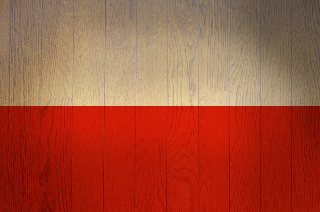 Free poland flag country illustration