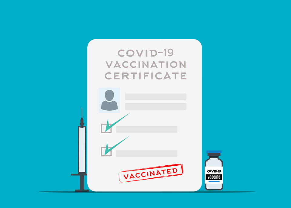 Covid19, Vacunación, Certificado, Corona, Virus, Pasar