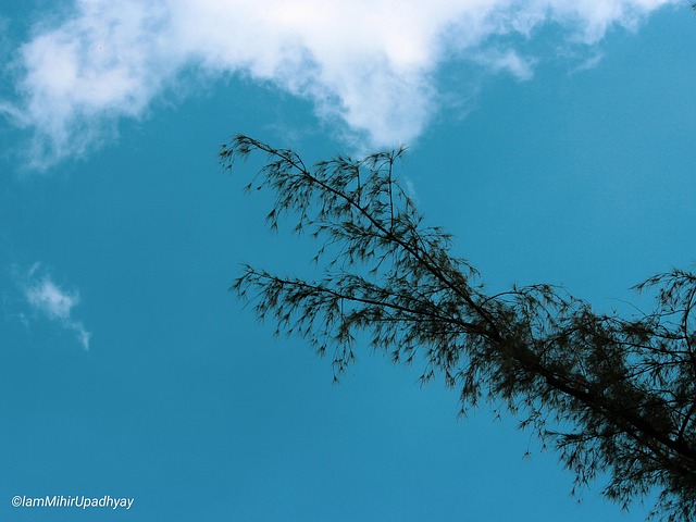 Free Sky Nature photo and picture