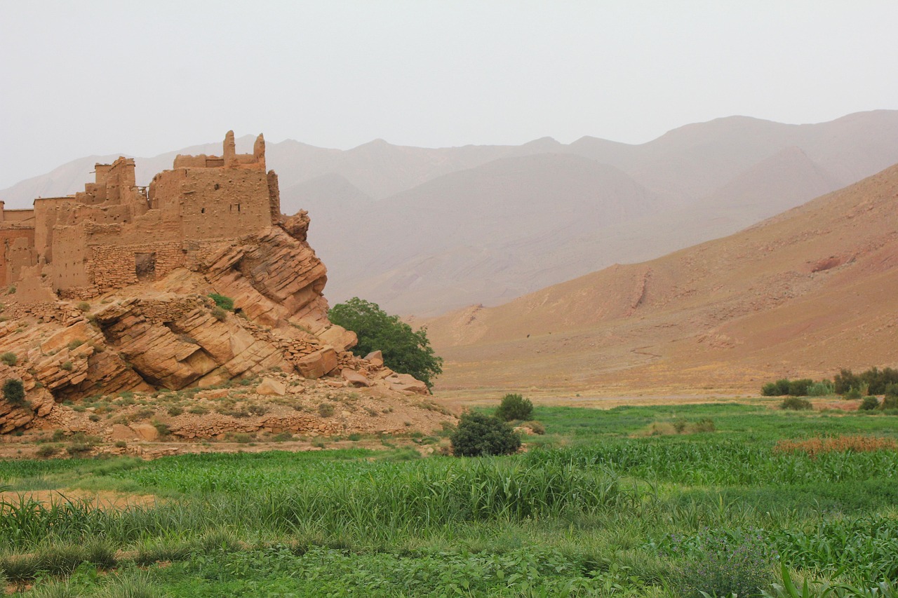 Image 2 de l'excursion Fès : Circuit de 3 jours dans le désert à Merzouga, Ouarzazate et Marrakech