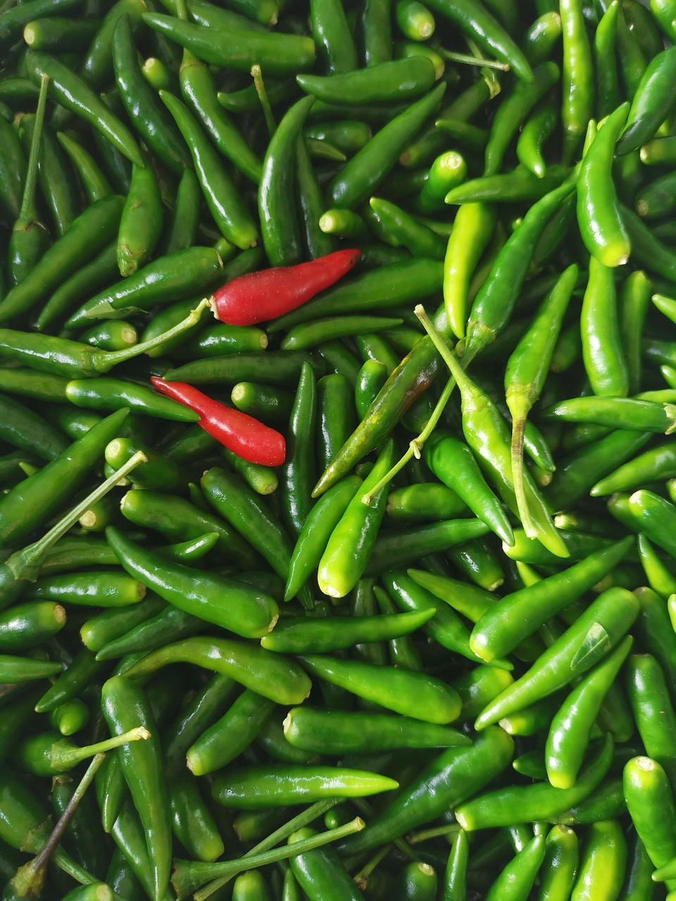 Chilli Fresh Small Chillies Spicy Free photo on Pixabay Pixabay