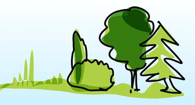 Free Trees Forest illustration and picture