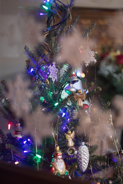 Free Tree Christmas Tree photo and picture