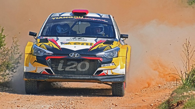 Free Rally Car photo and picture