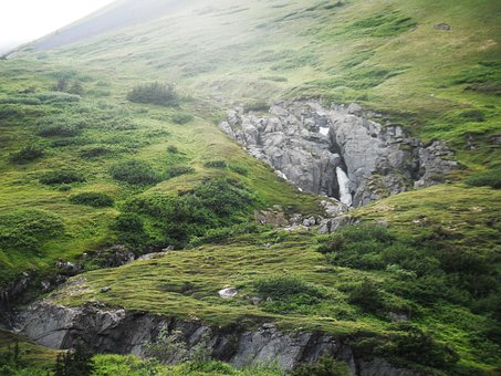 Free Green Ground photo and picture