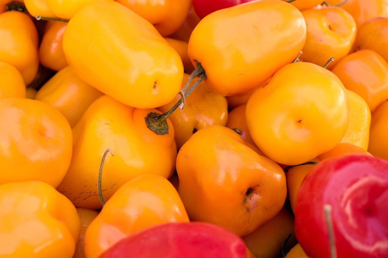 Yellow Bell Peppers Free photo on Pixabay Pixabay