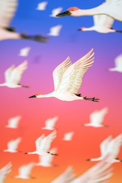 Free cranes nature red-crowned cranes illustration