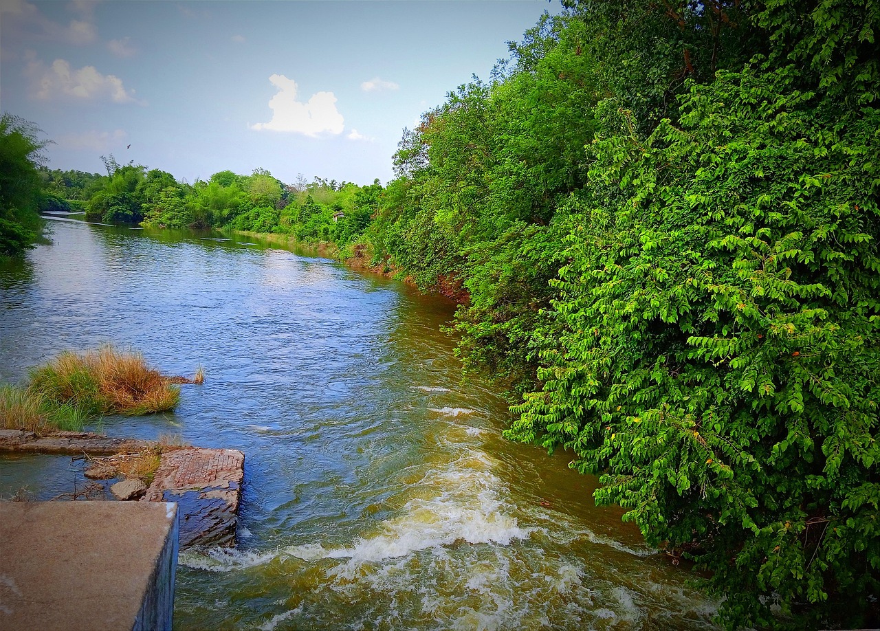 River Water Green - Free photo on Pixabay - Pixabay