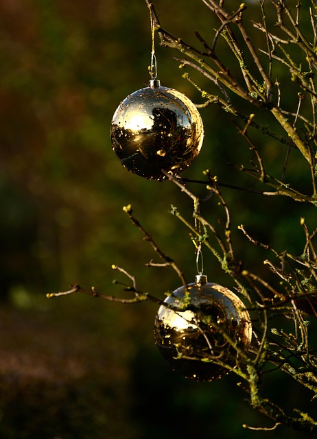 Download free HD stock image of Christmas Balls Christmas Decorations Free Christmas Balls Christmas Decorations photo and picture