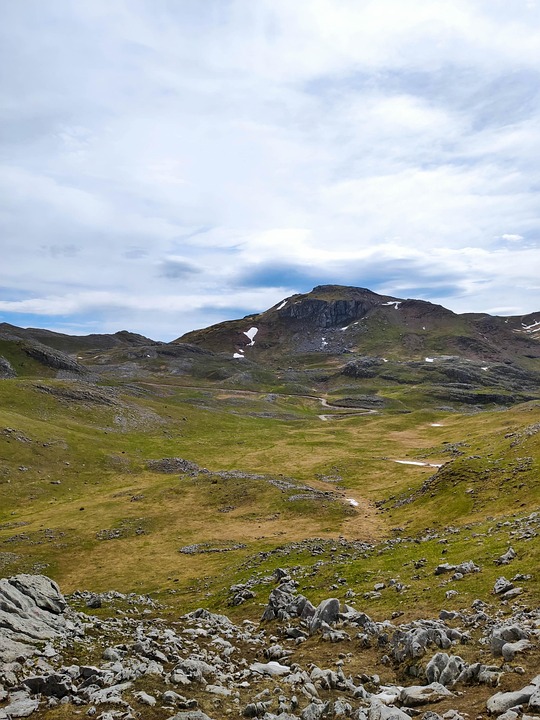 How to Identify and Avoid Common Outdoor Hazards