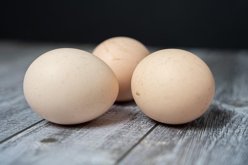 Free Eggs Chicken Eggs photo and picture