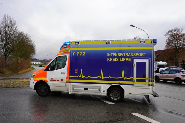 Rettungswagen, Kreis Lippe, Ite, Itw