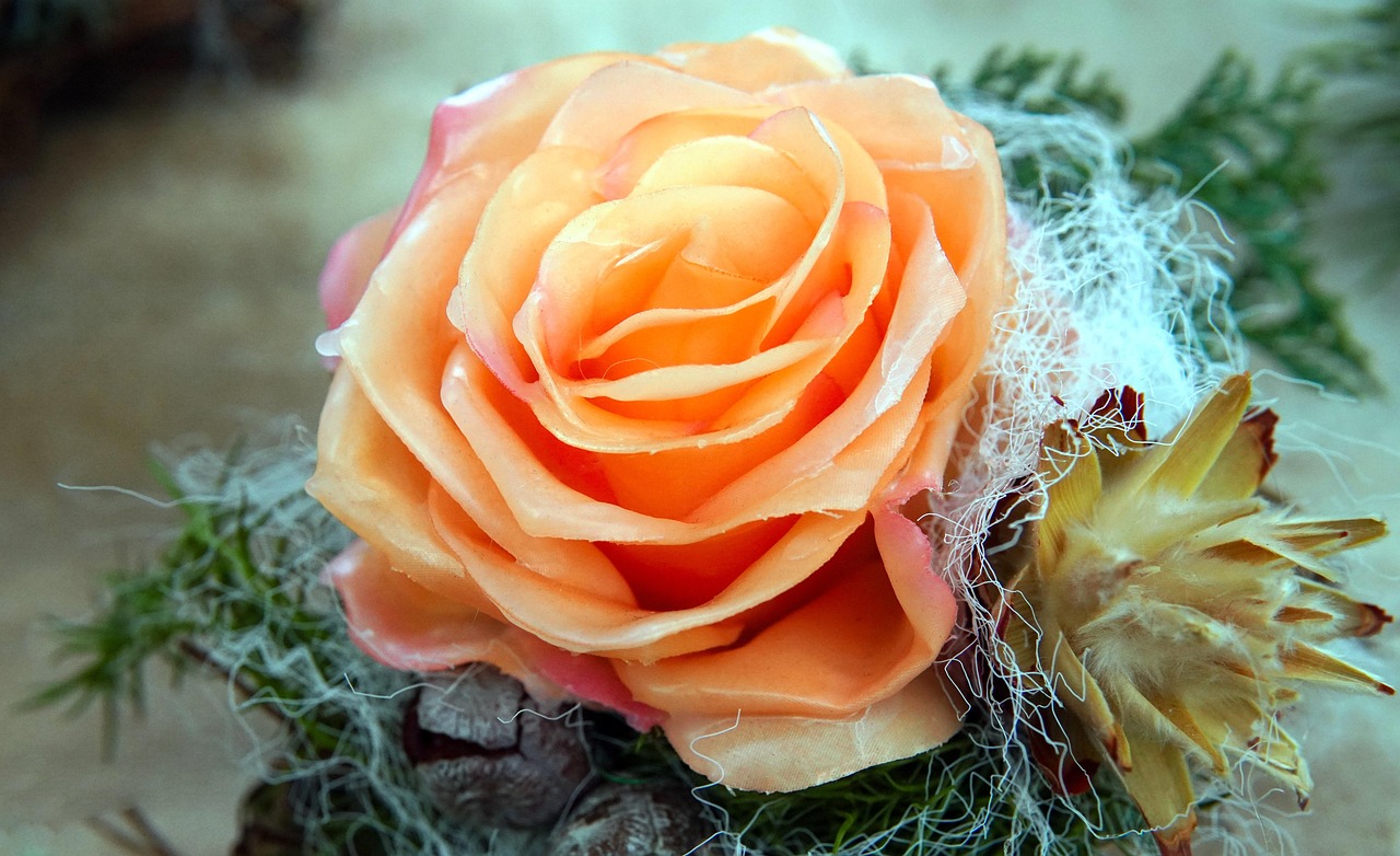 https://cdn.pixabay.com/photo/2021/12/02/16/42/rose-6840932_1280.jpg