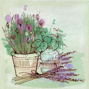 Natur, Maleri, Flora, Lavendel, Blomster