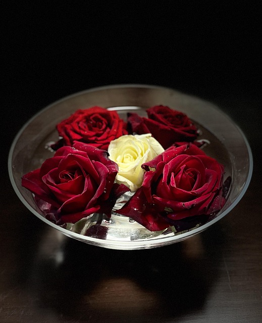 Free Roses Nature photo and picture