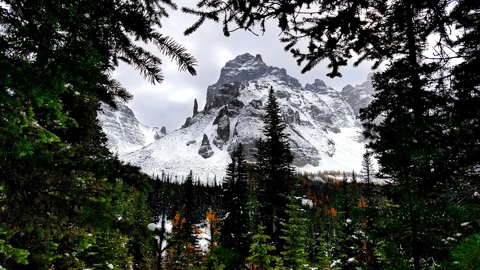 Montañas Bosque Banff Foto gratis en Pixabay