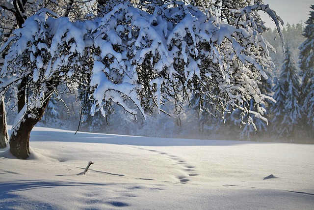 Winter Strikes Early: Snow Up North, Record Cold Down South