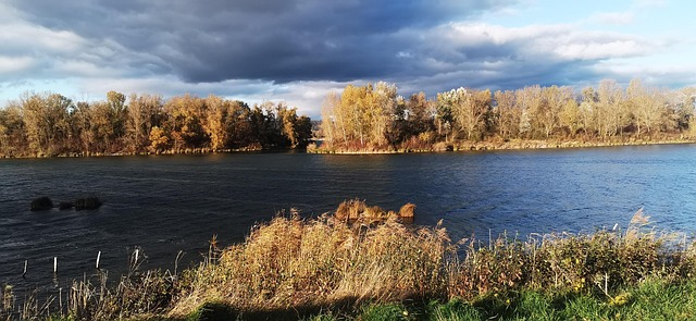 Free Nature Fall photo and picture