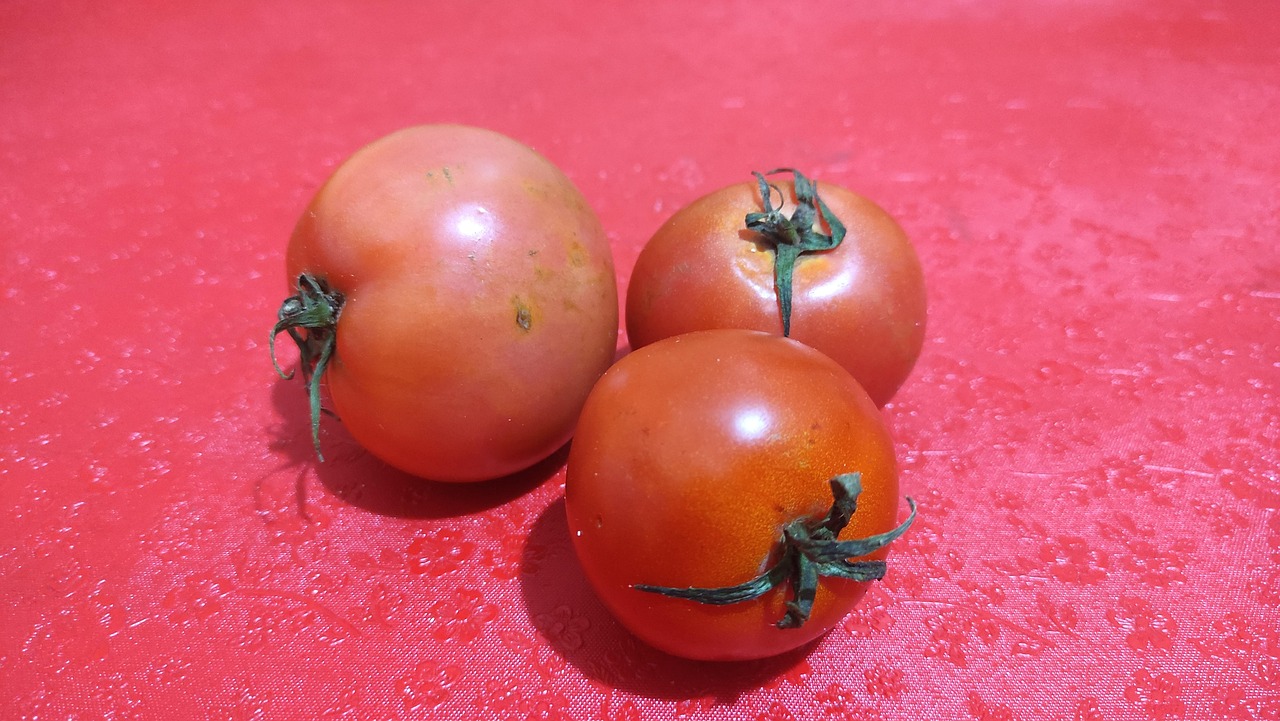 Tomato Fruit Vegetables Free photo on Pixabay Pixabay