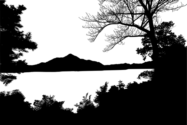 Free forest lake silhouette vector