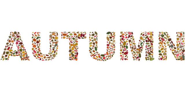 Free autumn typography leaves vector