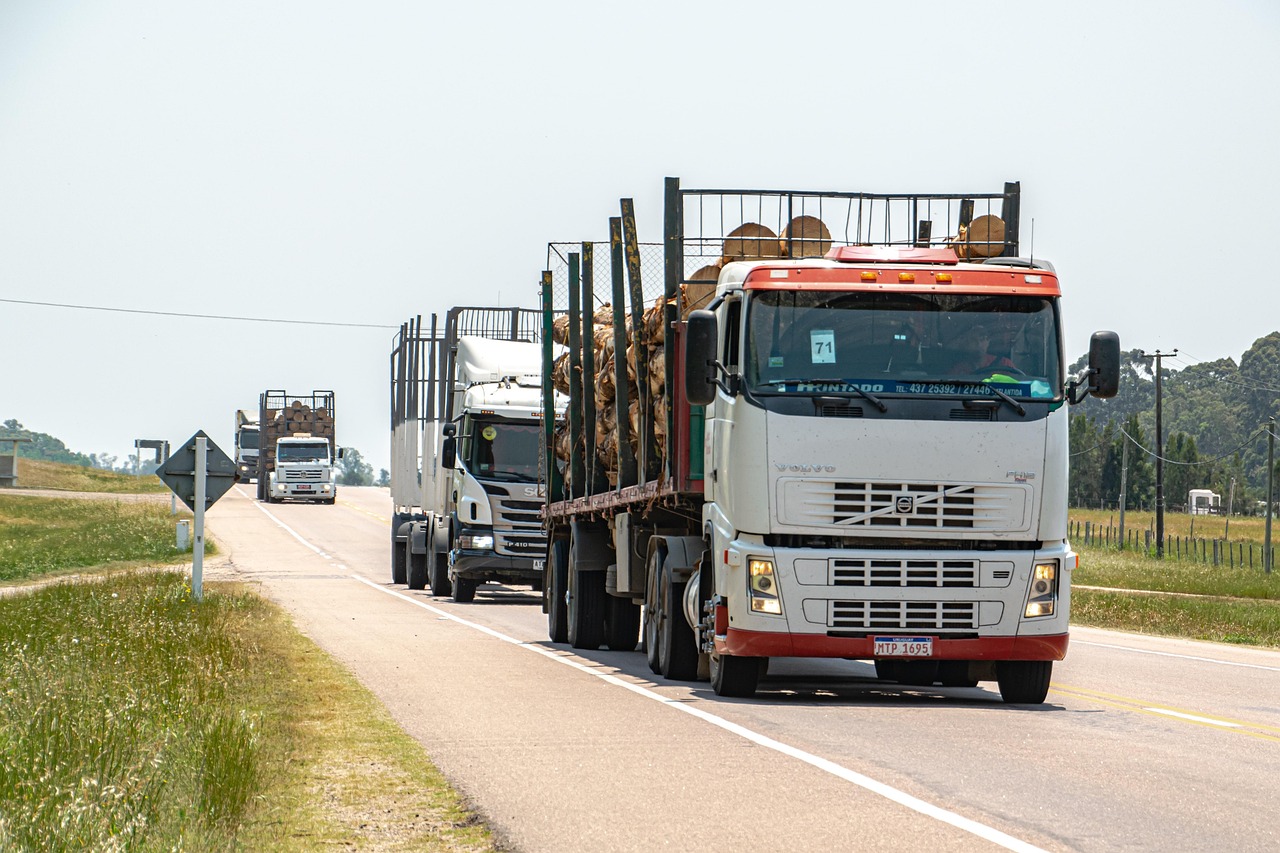 Truck - free online jigsaw puzzle photo