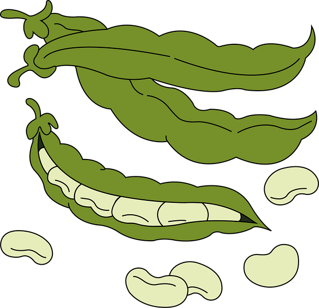 Free vegetables peas diet vector