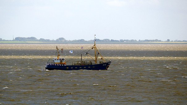 Free Cutter Boat photo and picture