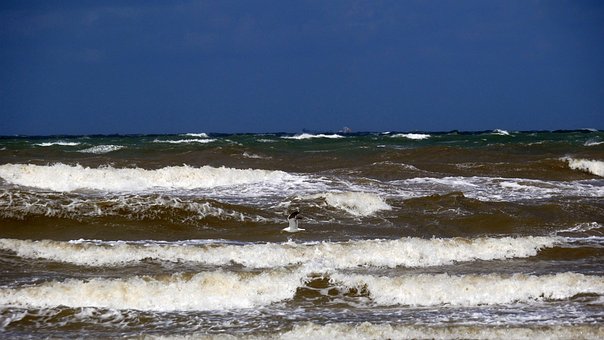 Free Sea North Sea photo and picture