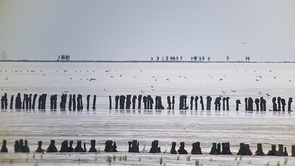 Free Travel Exploration photo and picture