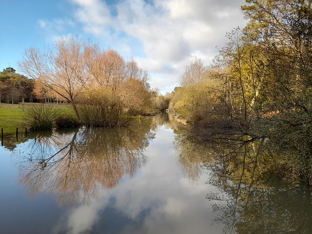 Free Reflexes River photo and picture