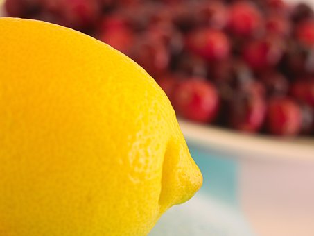 Free Lemon Cranberry photo and picture